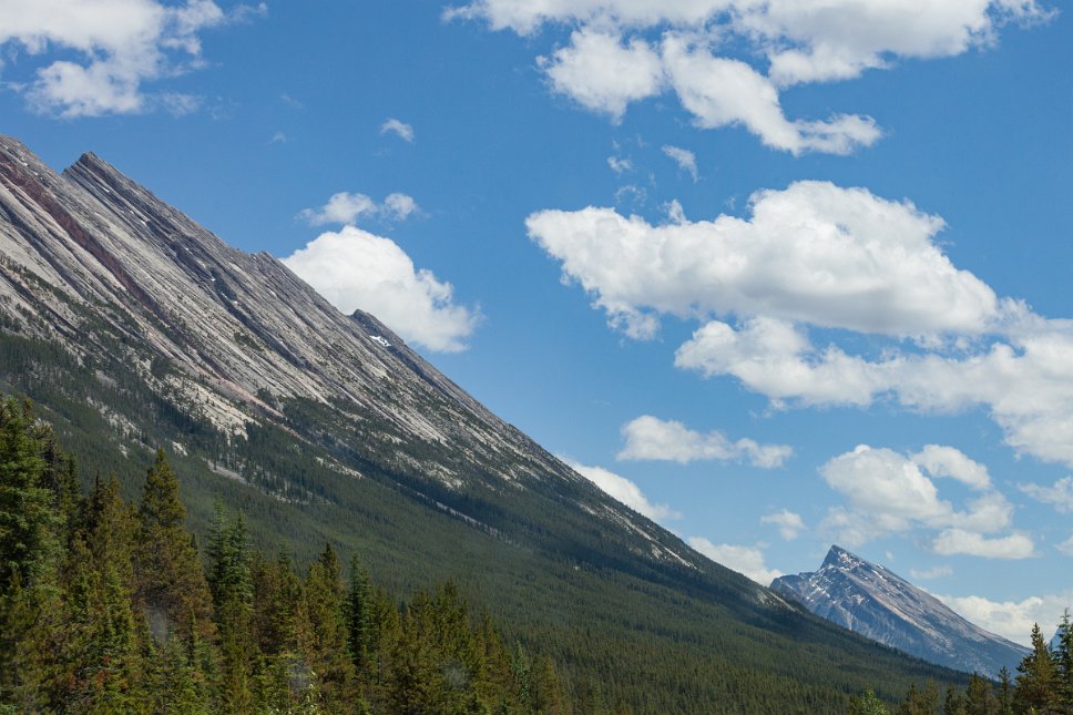 Along Icefields Parkway