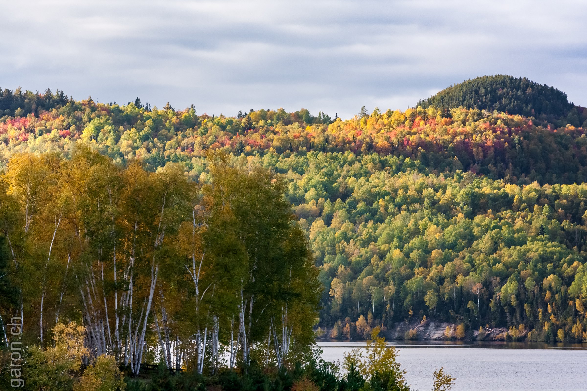 Autumn colors on Peribonka River 
