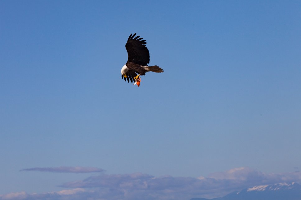 British Columbia, Port Hardy