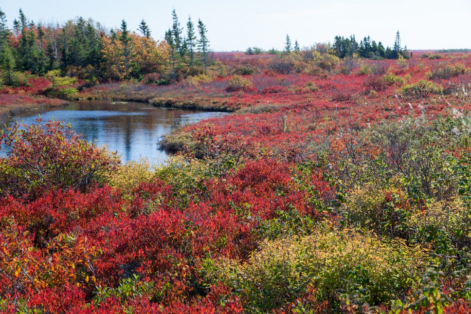 Acadia, Miscou Island