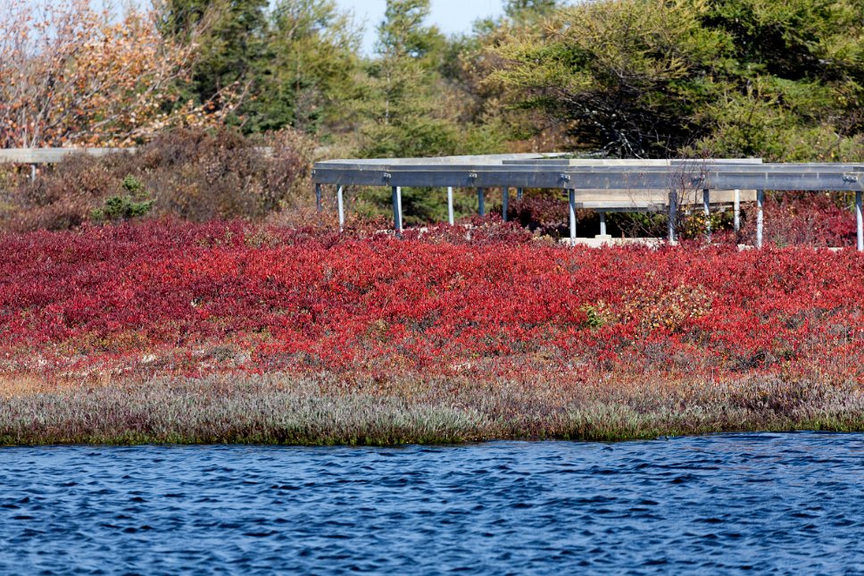 Acadia, Miscou Island