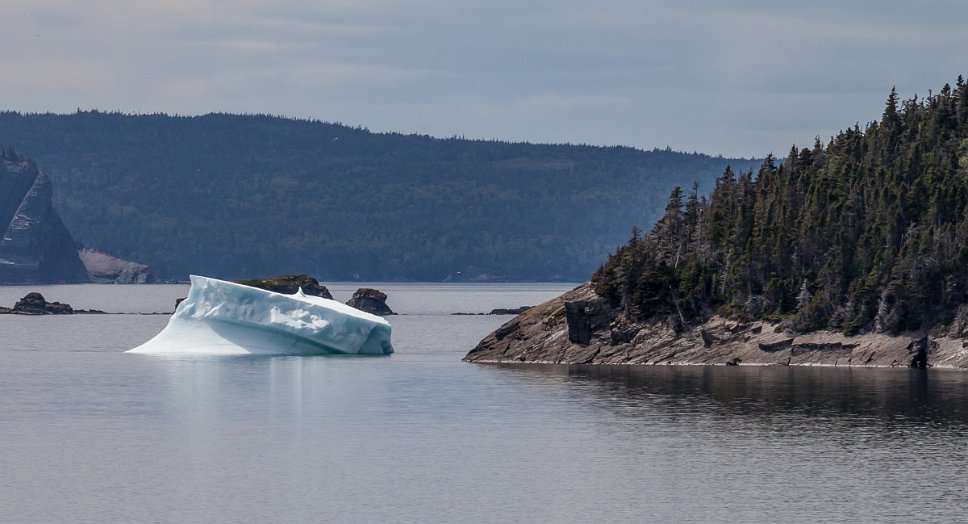 Newfoundland, Avalon Region, Spaniards Bay Floating iceberg