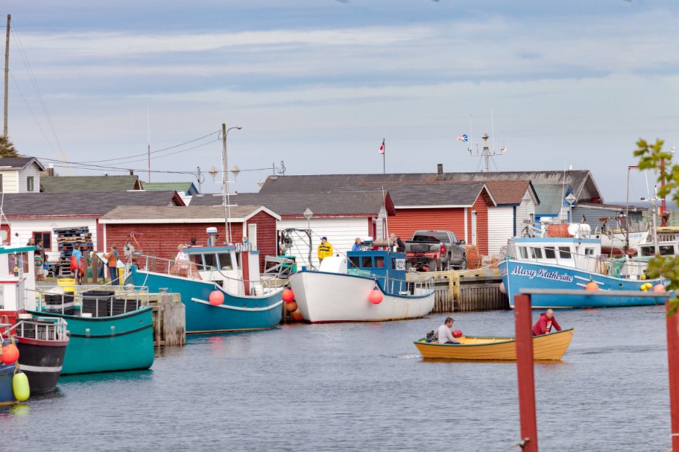 Newfoundland, Petty Harbour