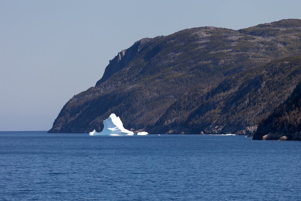Newfoundland, Portugal Cove Floating iceberg