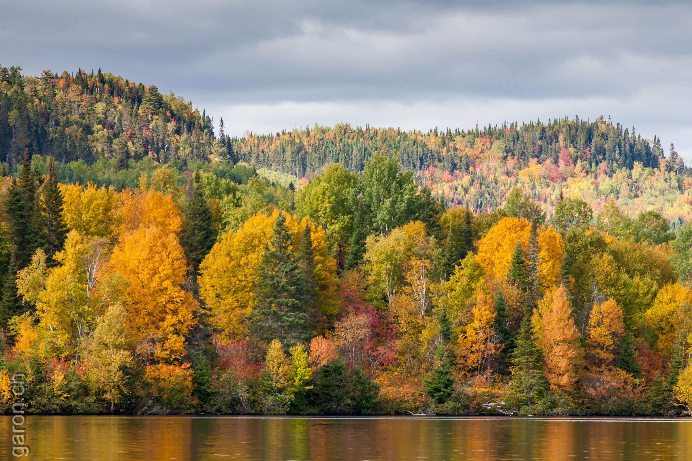 Autumn colors on Peribonka River 
