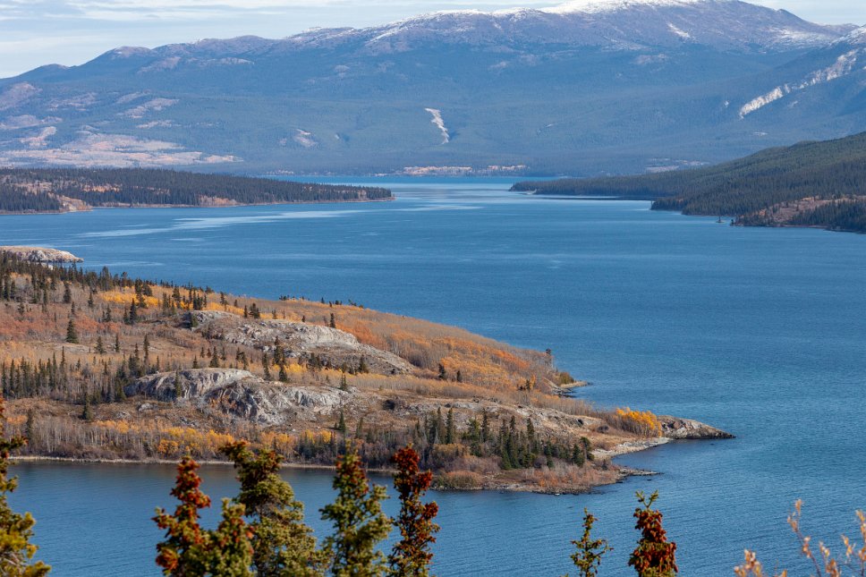 Yukon, along Klondike Highway, Tagish lake and the Bove Island