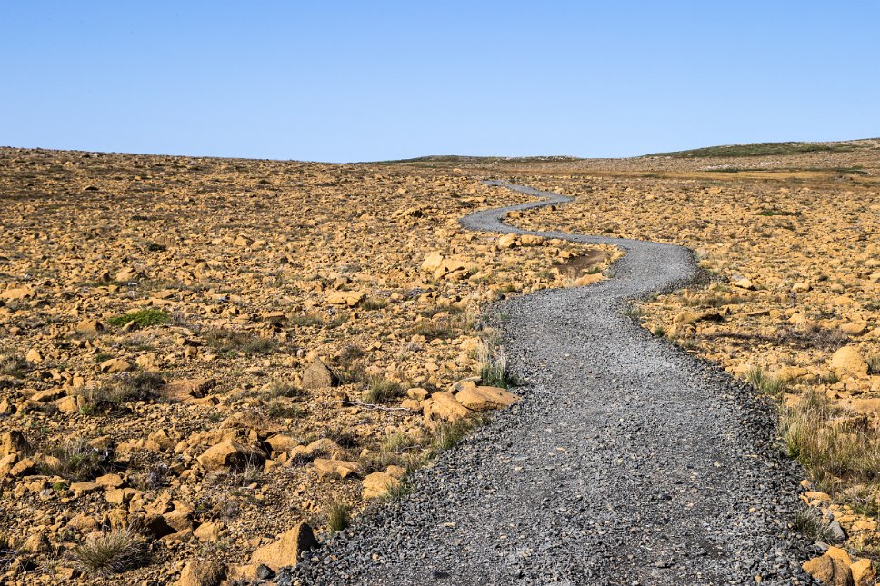 Newfoundland Green Garden trail