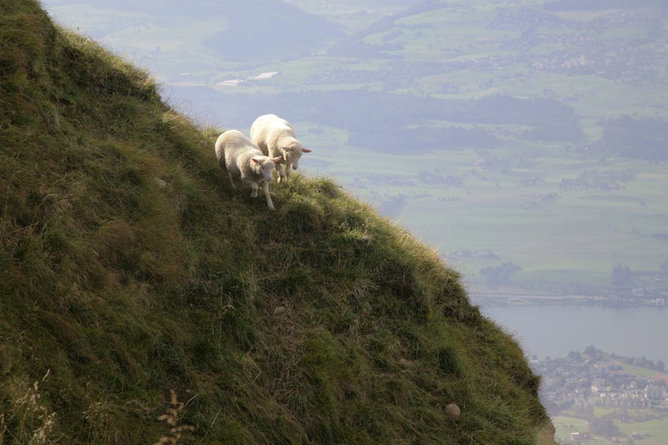 Rigi