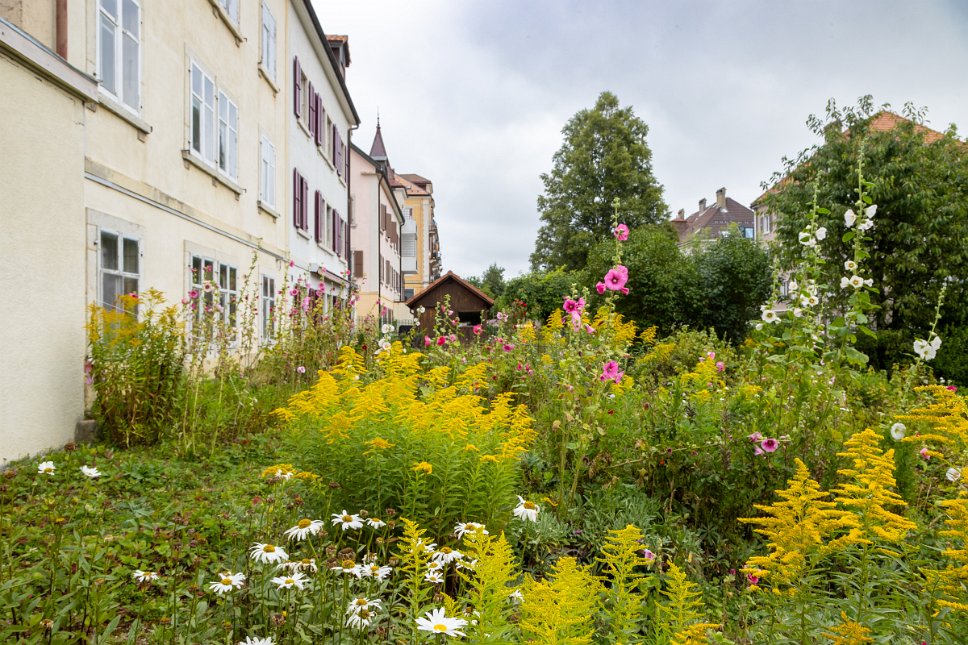 La Chaux-de-Fonds