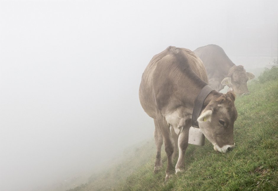 Monte Generoso